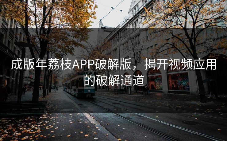 成版年荔枝APP破解版，揭开视频应用的破解通道