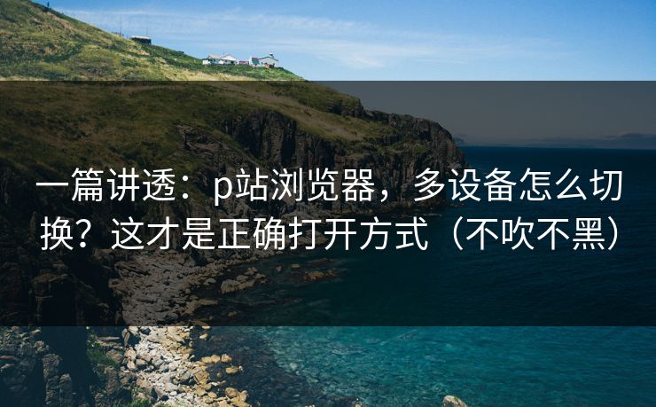 一篇讲透：p站浏览器，多设备怎么切换？这才是正确打开方式（不吹不黑）