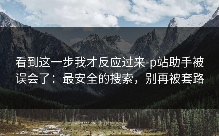 看到这一步我才反应过来-p站助手被误会了：最安全的搜索，别再被套路